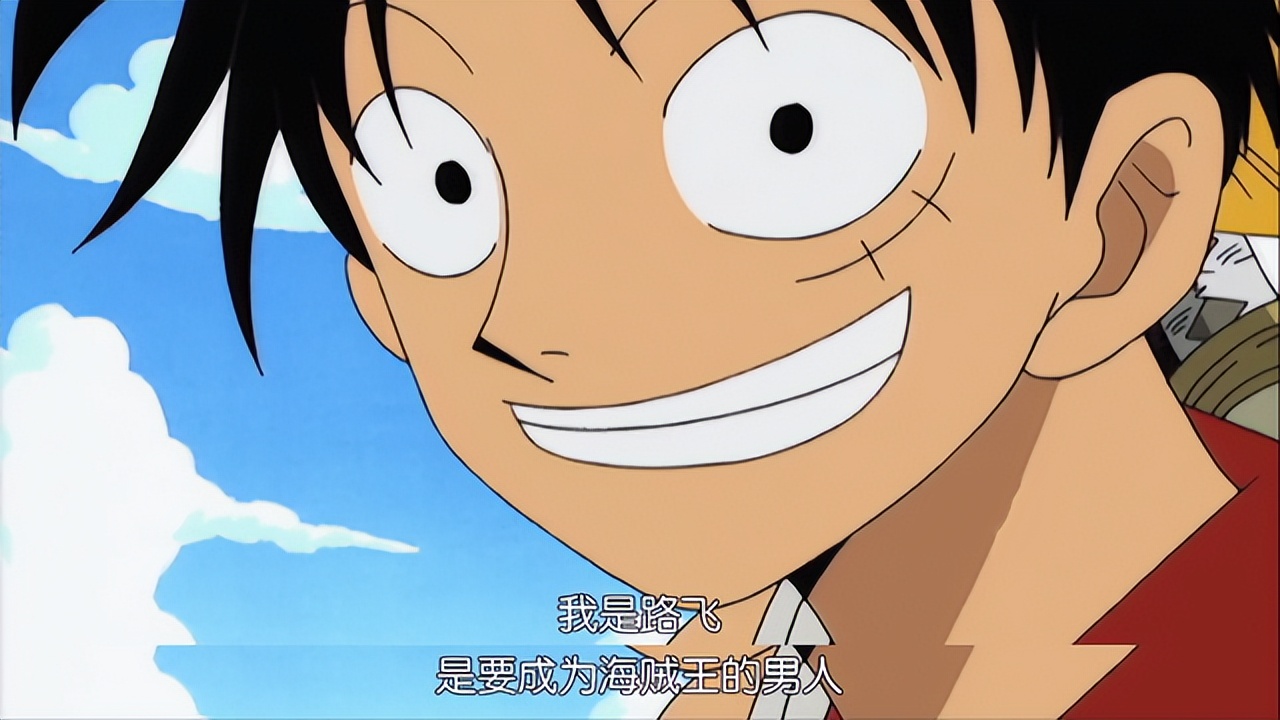 看了海贼王才明白的道理,看了二十年海贼王