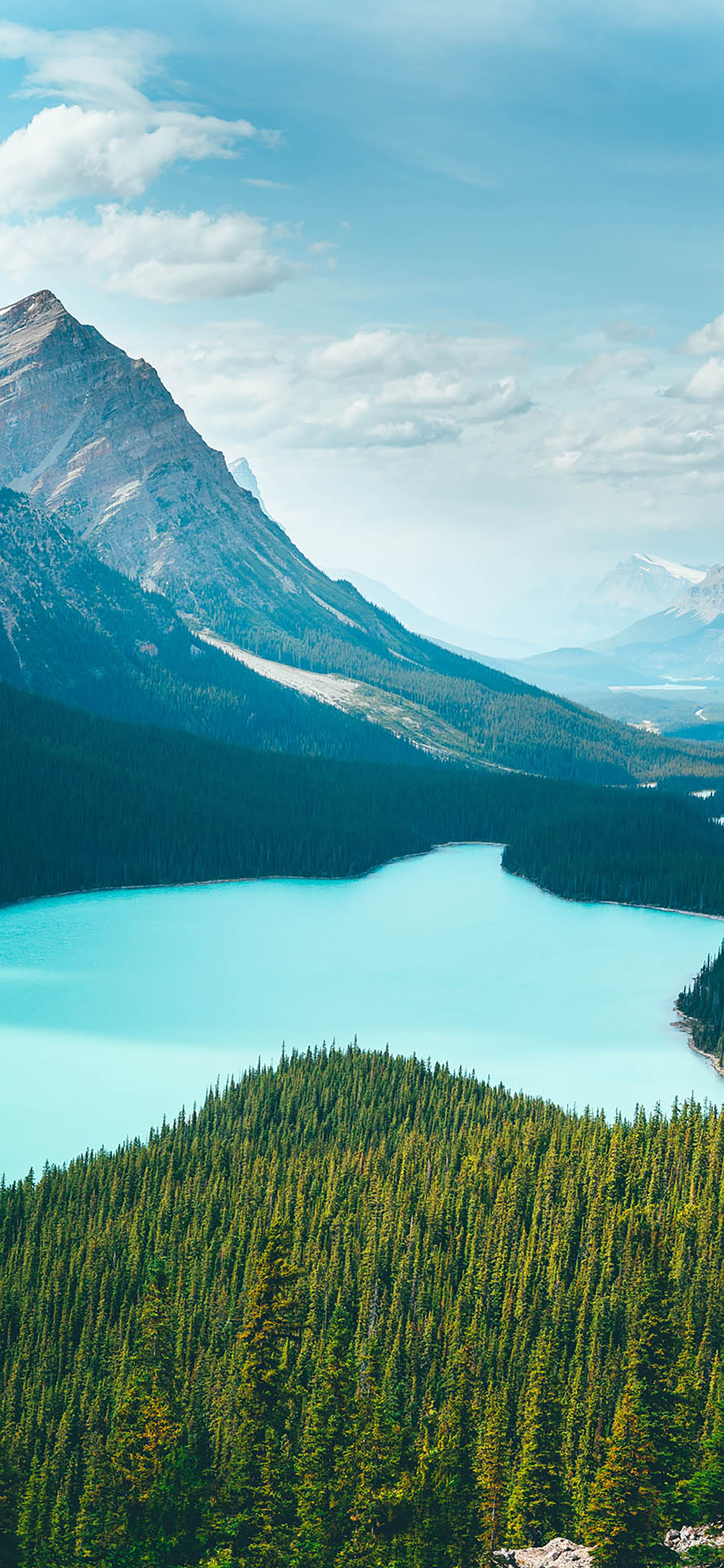 风景壁纸春,春天有百花秋有凉风冬有雪壁纸