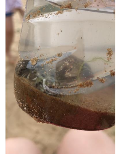 青岛黄岛区海边哪个海滩最好玩,山东青岛黄岛海边旅游攻略