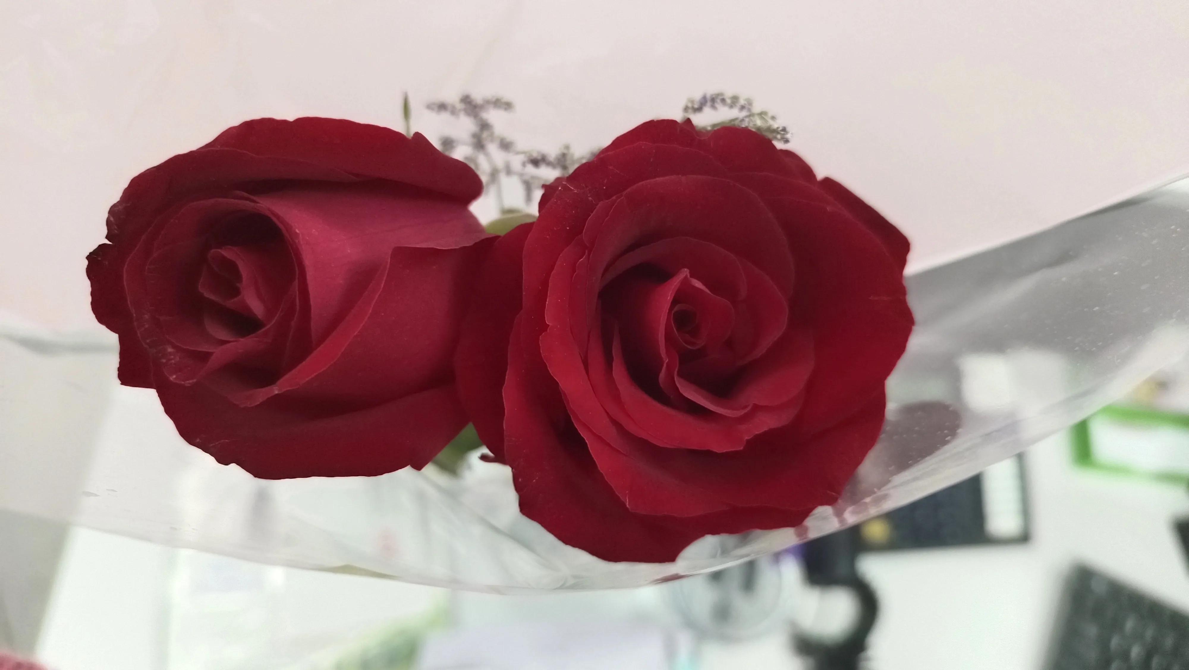 我的爱好日语作文200字,日语作文我的兴趣爱好是旅行