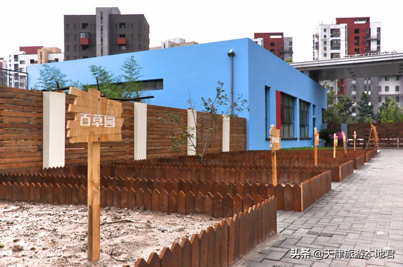 北大附中东丽湖改成公立老师去哪,北大附中东丽湖改成公立