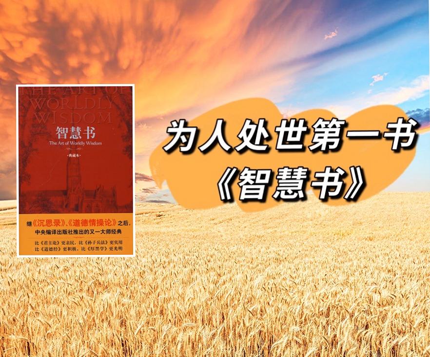 智慧书的摘抄,智慧书在线阅读一百本