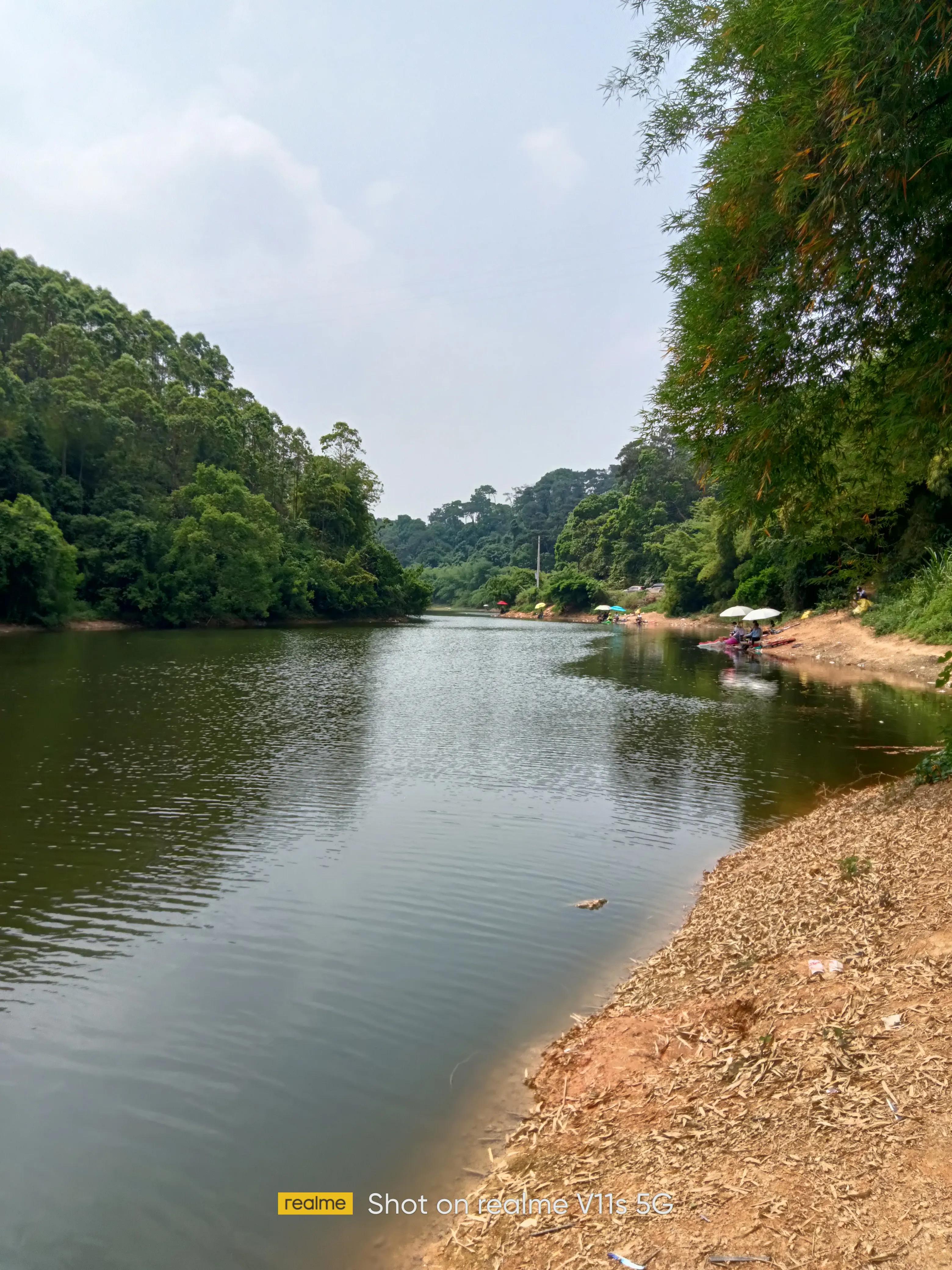 百排水库钓场,百排黑坑钓场