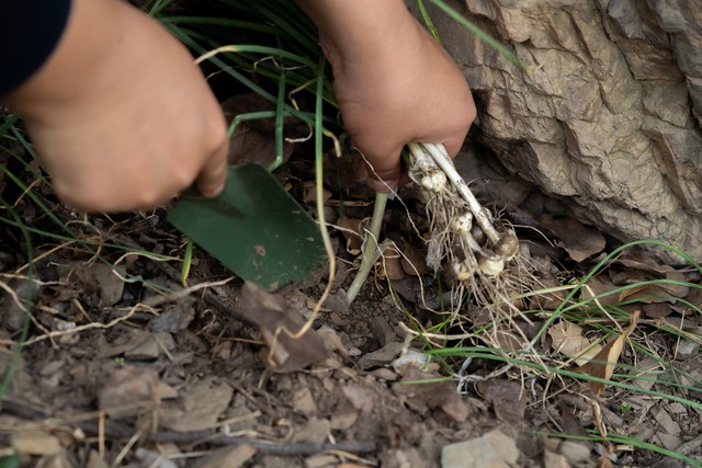 春分几月几日,春分节气适合穿啥衣服