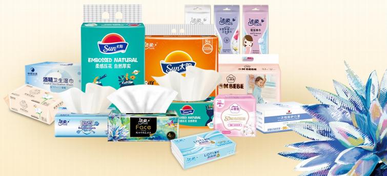 中顺洁柔投资价值,中顺洁柔股票主业