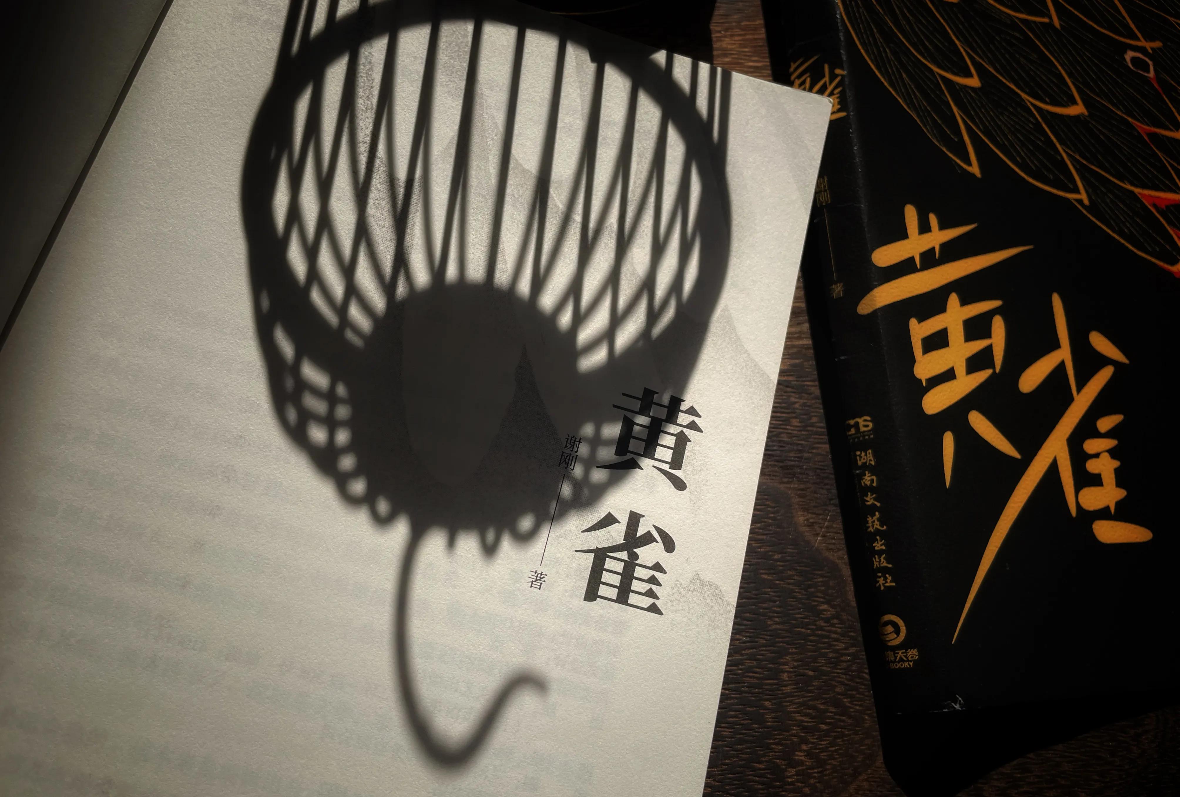 碎尸案小说一口气看完,杀人碎尸悬疑小说一口气看完