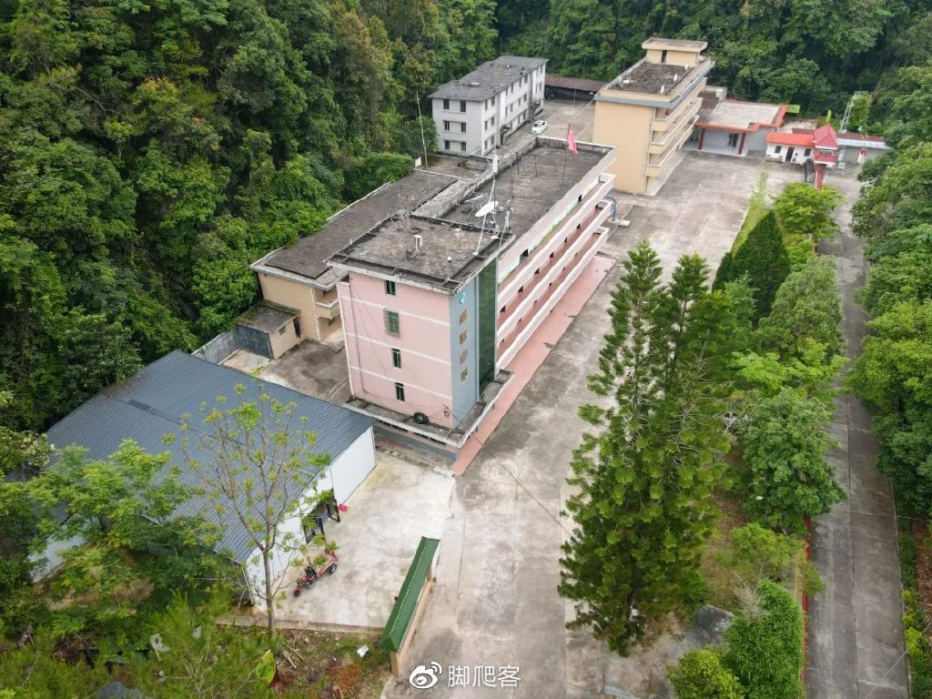 自然保护区志愿者申请,生态文化保护志愿者招募