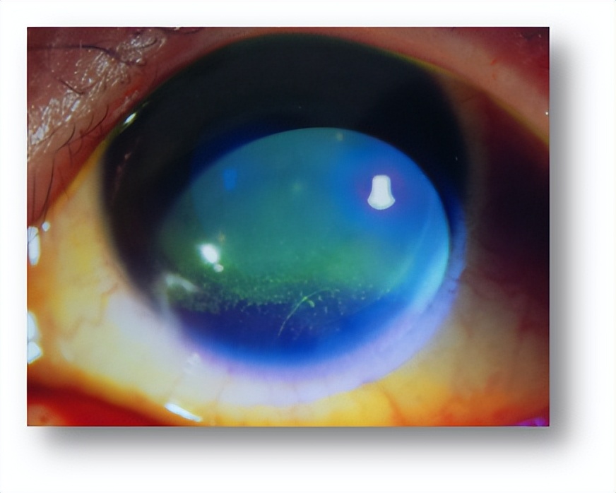 榫氬矚鍖荤敓濂藉悧,鐪肩榫氬矚鏁欐巿