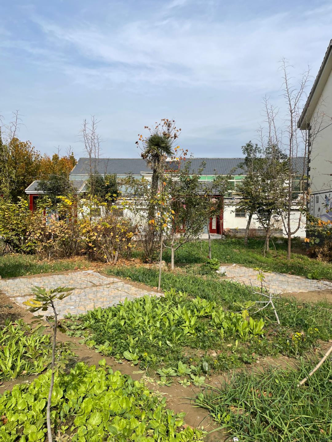 董董骑行山东,懂懂骑山东