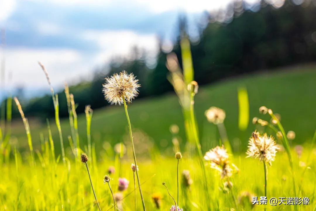 徕卡sl2-s对比徕卡sl2,徕卡相机追光逐影