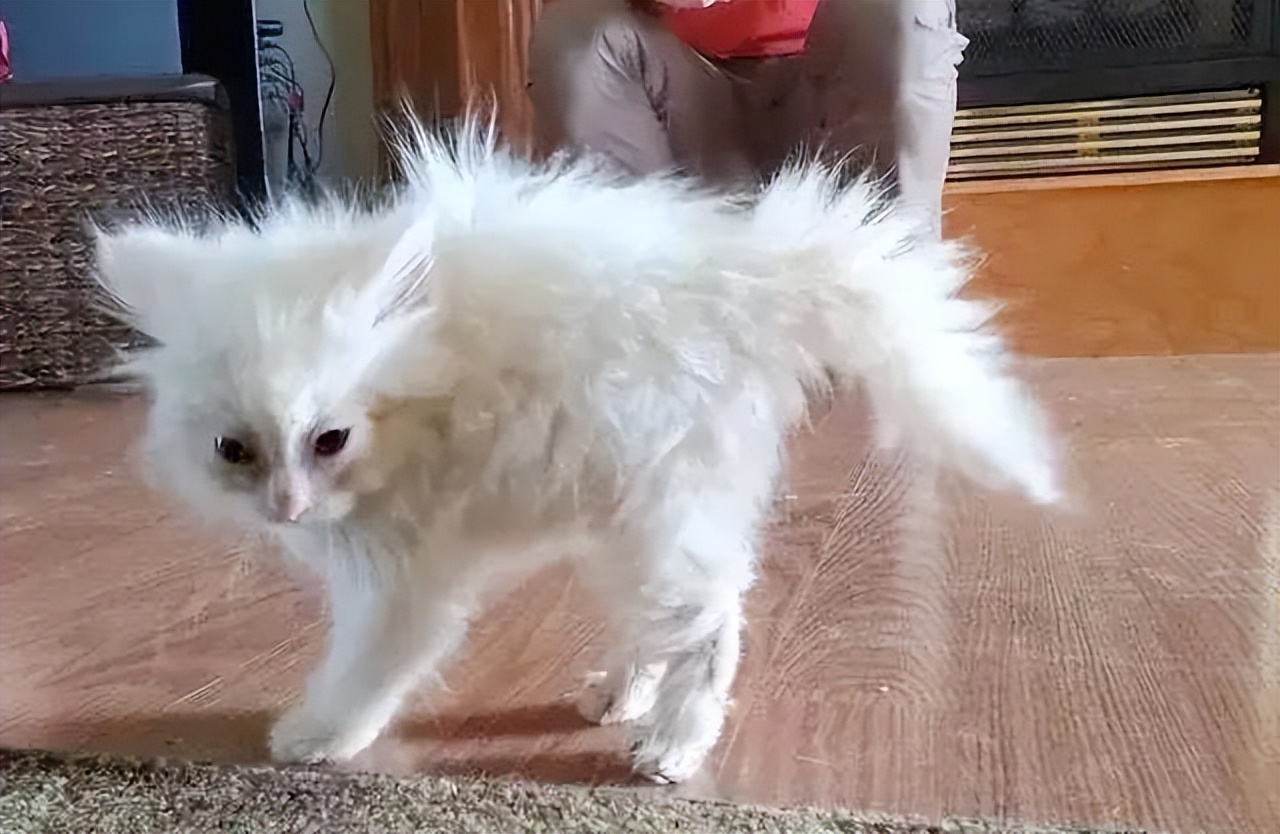 知乎高赞普通人,知乎高赞普通人的一生