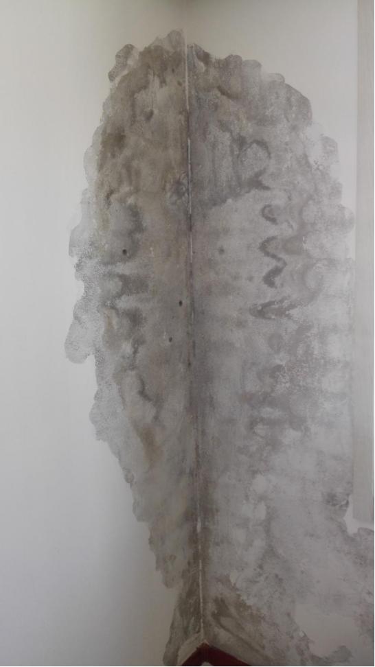 别墅地下室潮湿处理有哪些品牌,洋房地下室潮湿发霉处理办法