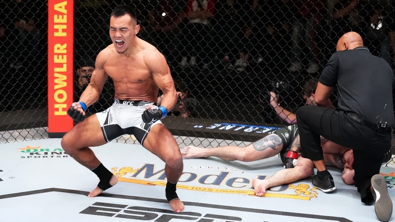 2020年最佳拳击ko集锦,中国最强拳手ko视频