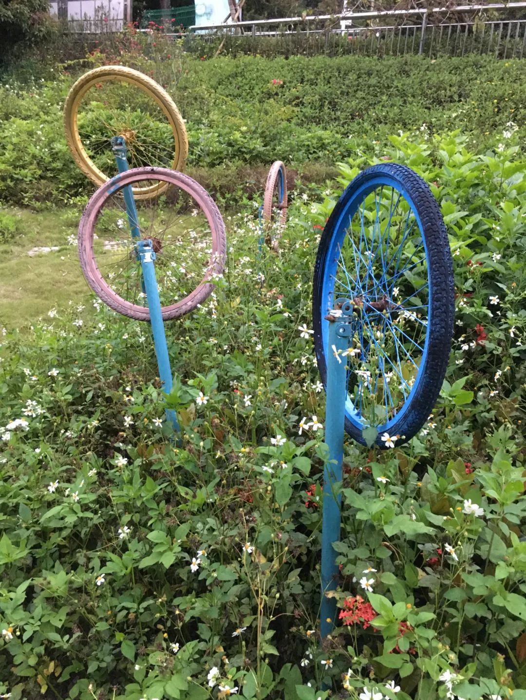 旭光车行雅迪电动车,旭光单车