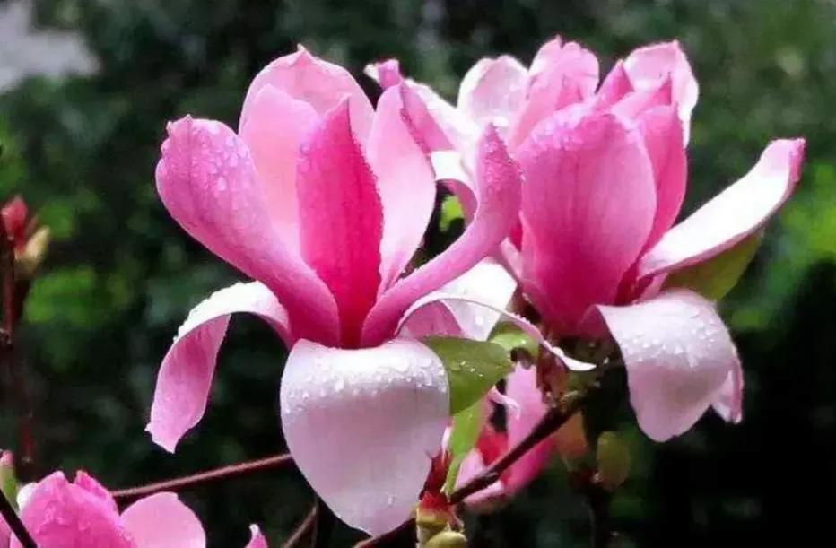 成年人拒绝感情的最好方式,成年人委婉拒绝方式