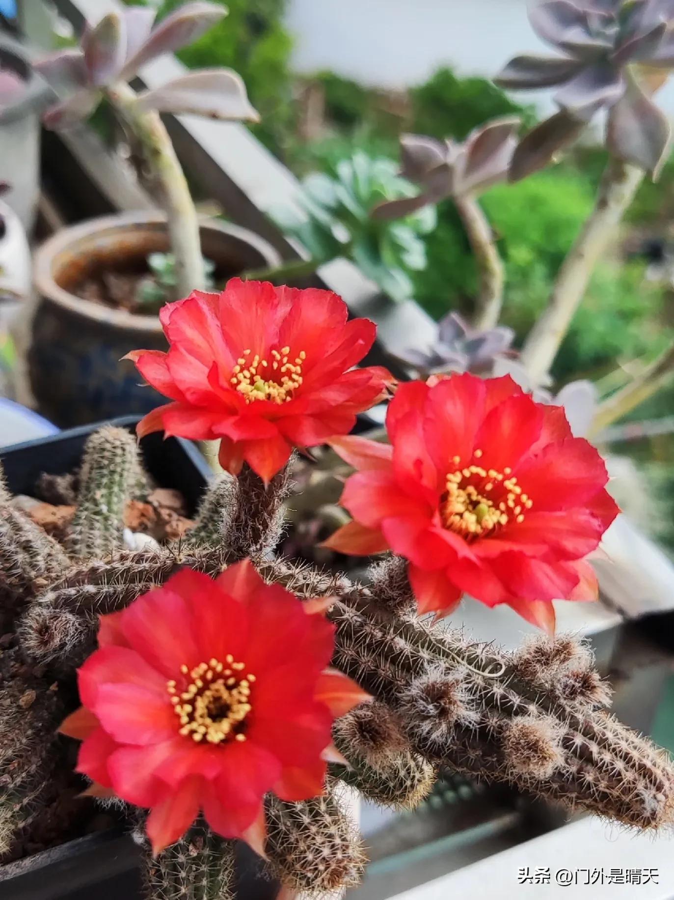 对不开心的工作说再见,不开心的工作怎么选择