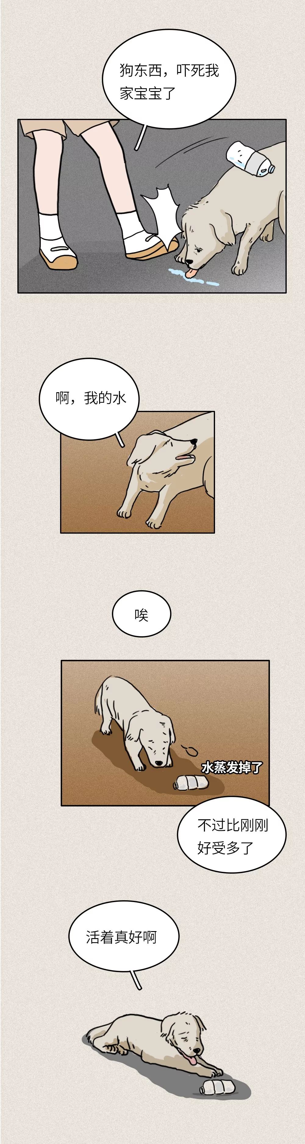 救救我36关怎么过,一只流浪狗自述