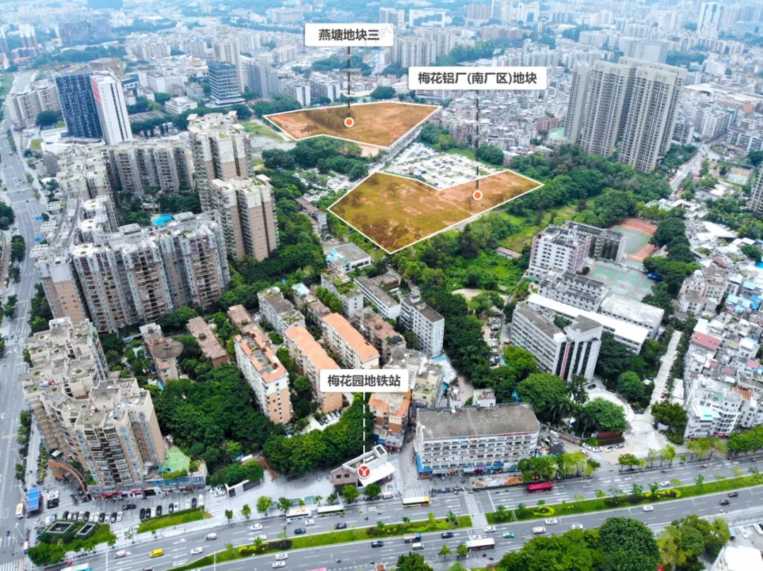 分化加剧！天河一宗流拍！一宗封顶！真不能乱买了