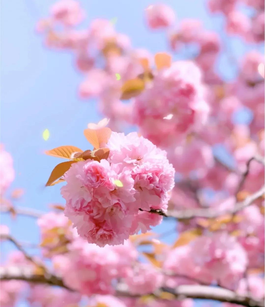 恋爱靠感觉 (爱情靠幻想结婚靠合适)