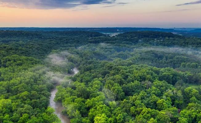 巴西五次世界杯冠军完整版,巴西五次世界杯夺冠在哪几次