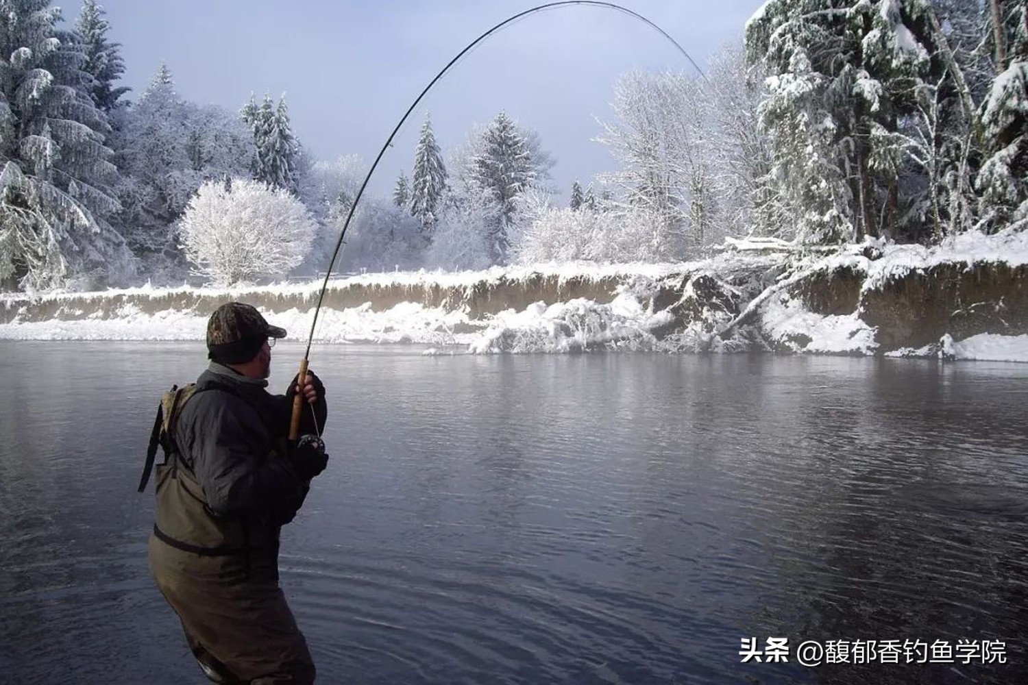 钓友们，阳了怎么办？钓鱼人阳了以后自愈的4点心得