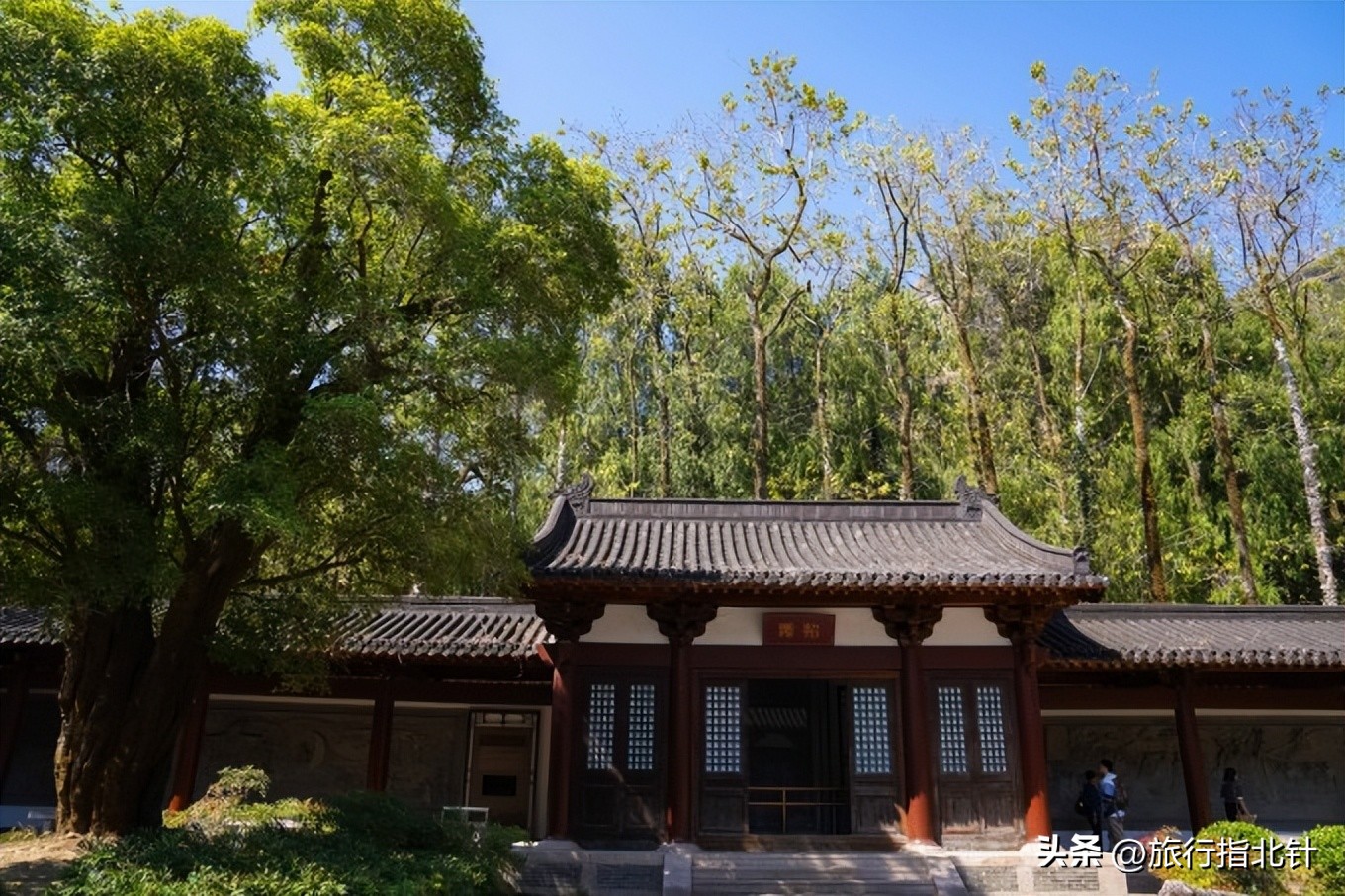 一分钟了解武夷山旅游景点攻略,福建自由行武夷山旅游攻略