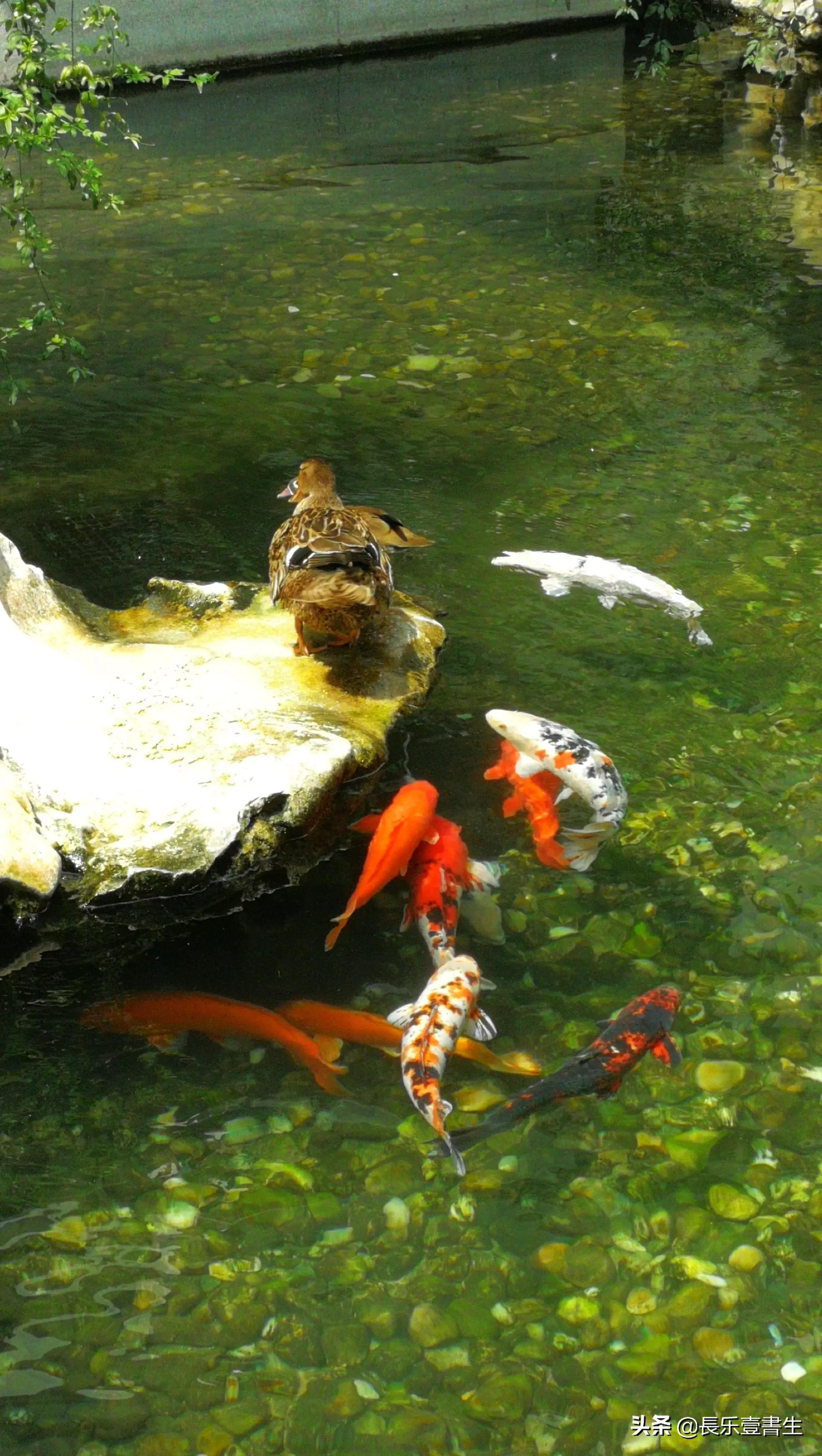 中国园林博物馆游览时间表,小众游玩强烈推荐北京园林博物馆