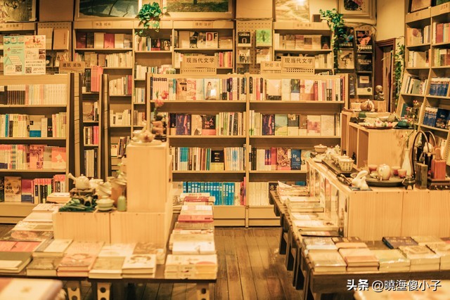 超级治愈的年度宝藏书籍好书推荐,书香雅致书籍推荐