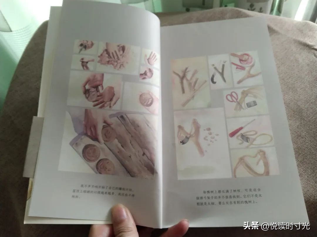 我的弹弓去哪了,我的弹弓去哪了在线阅读