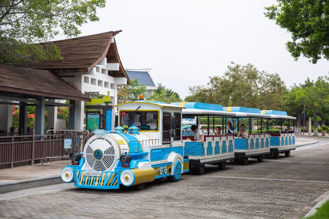 来厦门旅游订不到酒店,去厦门玩住不住鼓浪屿