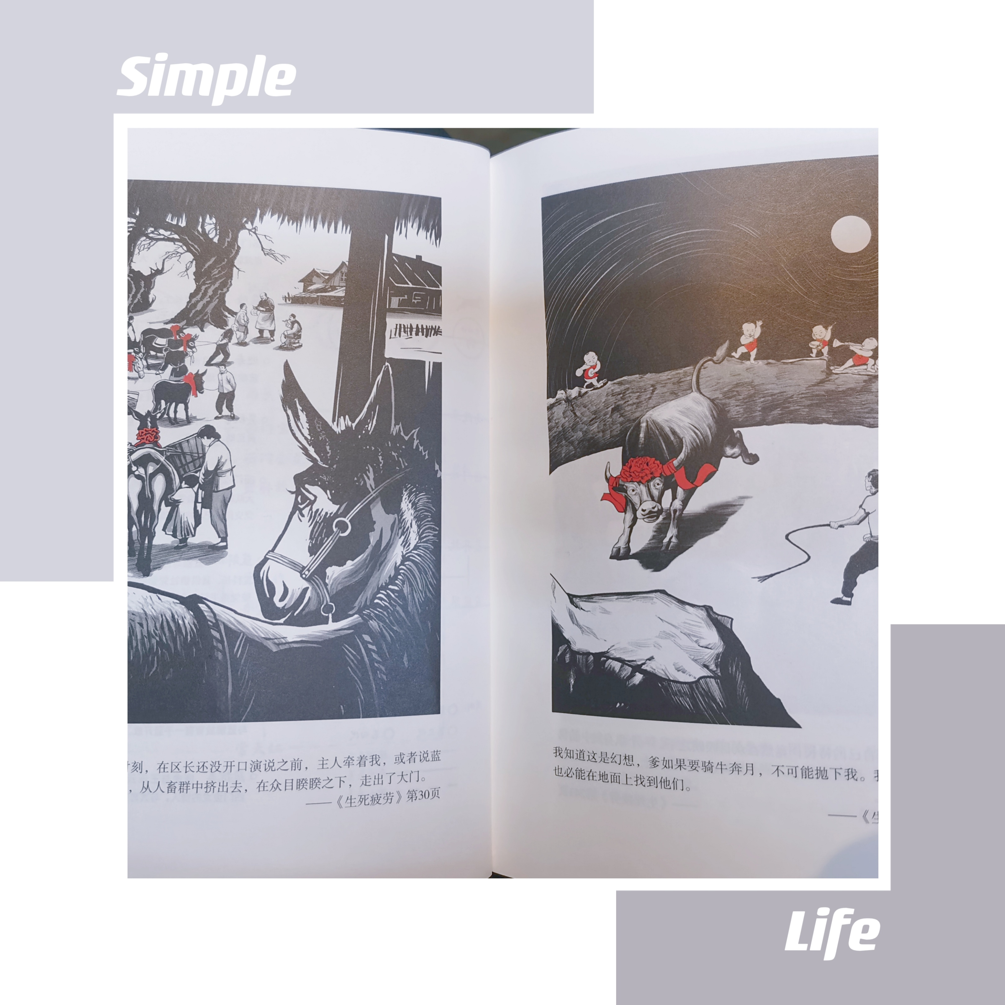 一本书让你感悟人生,生活的酸甜苦辣咸自己体会