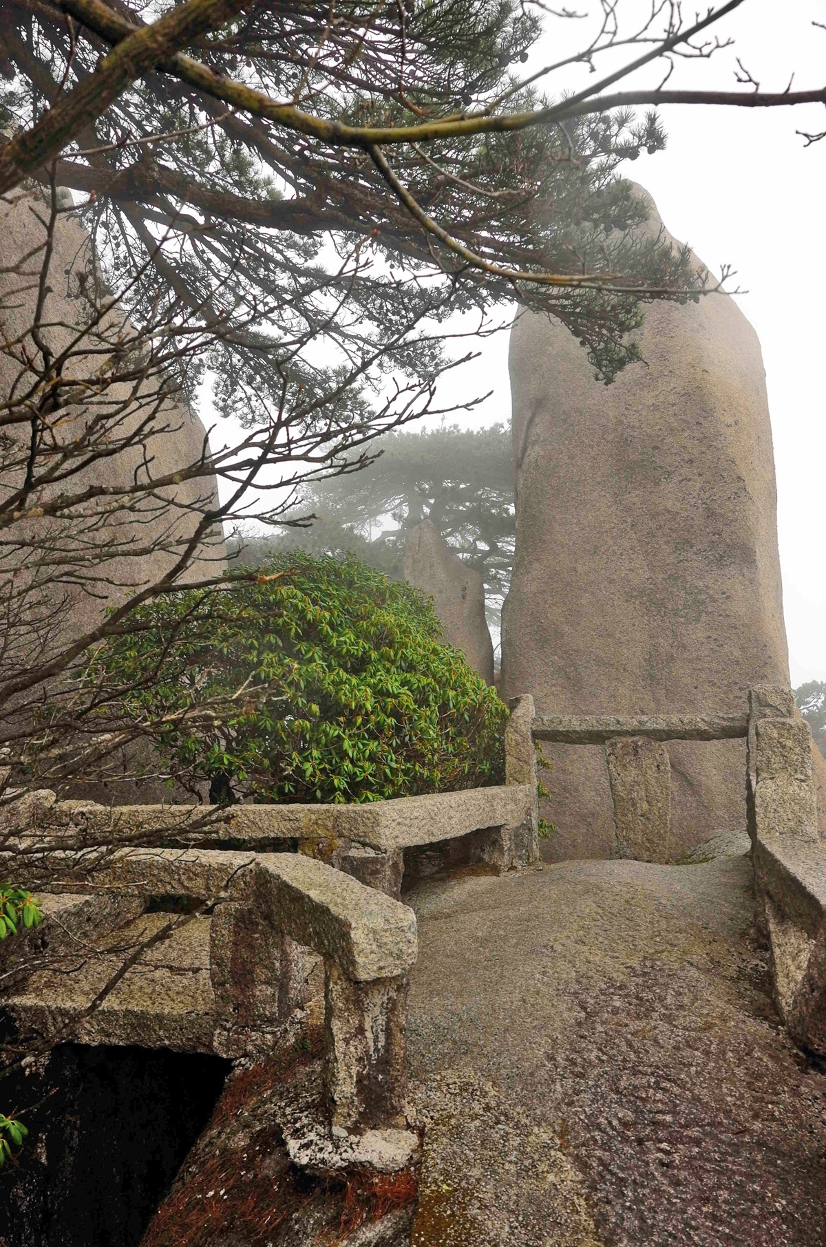 黄山慈光阁到玉屏楼步行多久,爬黄山从慈光阁开始的攻略