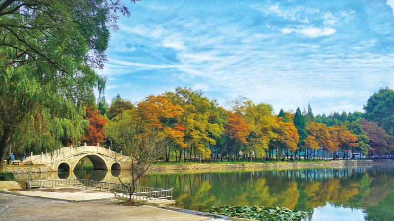 江苏大学研究生质量排名,江苏研究生院校考研难度排行