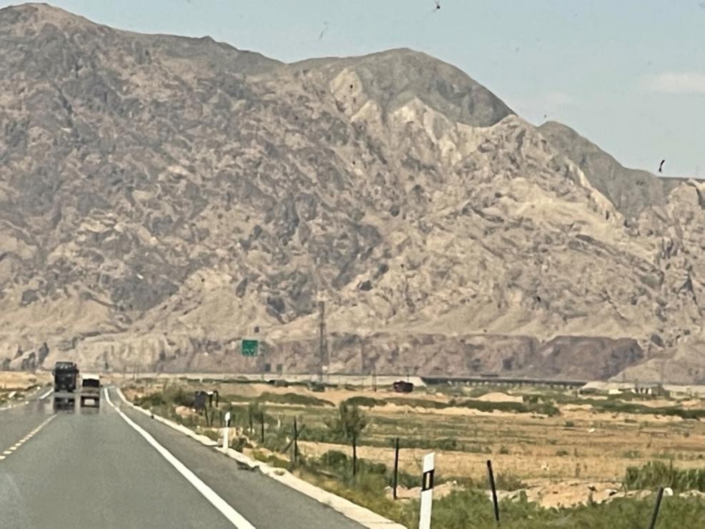 高端品质沙漠有机奶,沙漠有机奶产自哪里