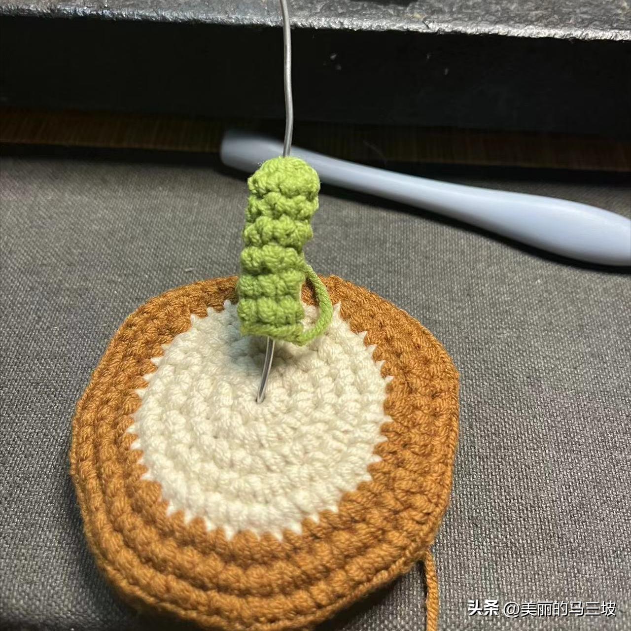 郁金香花朵收纳盒编织教程,郁金香的盆栽的钩织教程