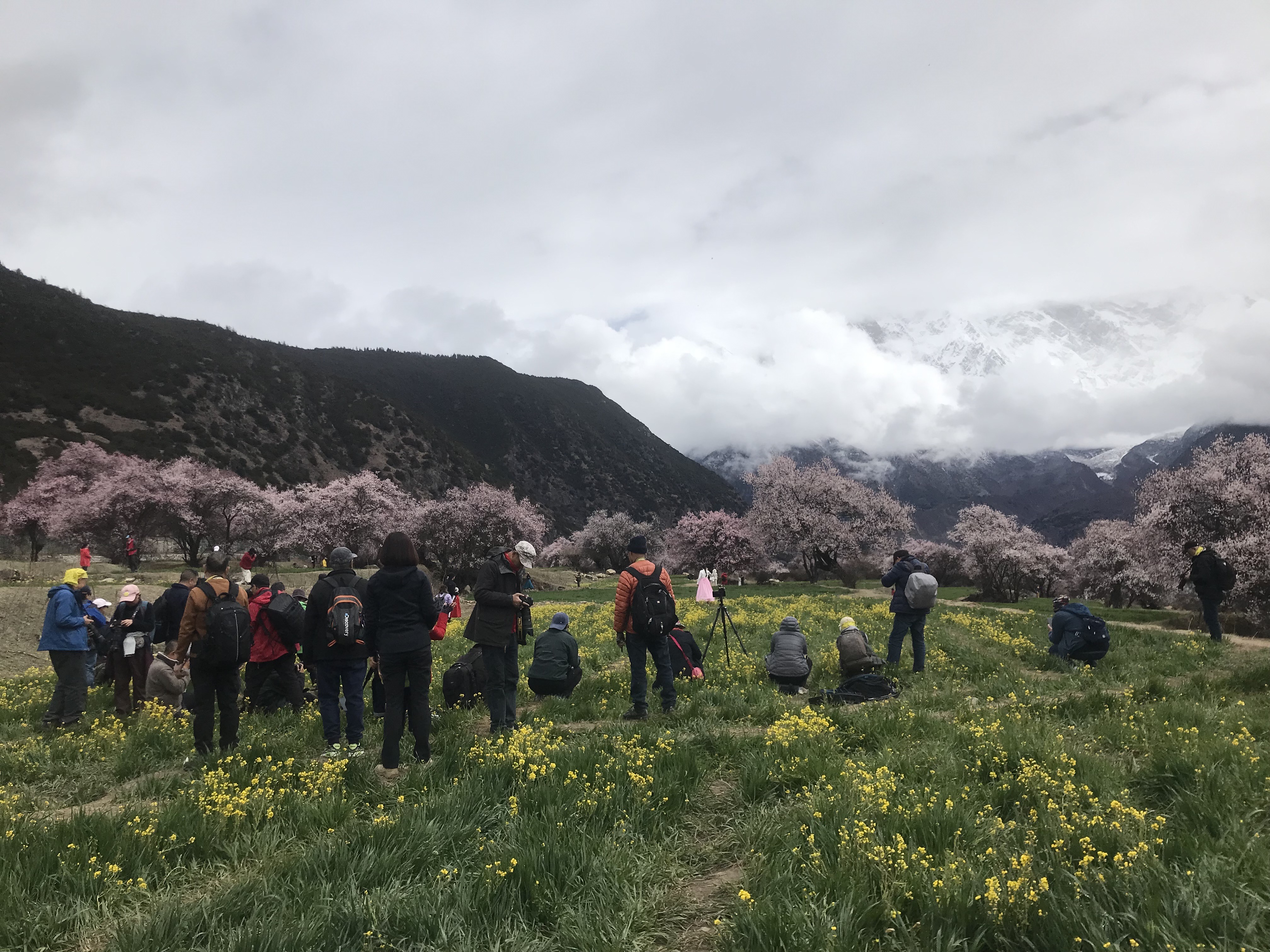西藏名山南迦巴瓦峰意义,见到南迦巴瓦