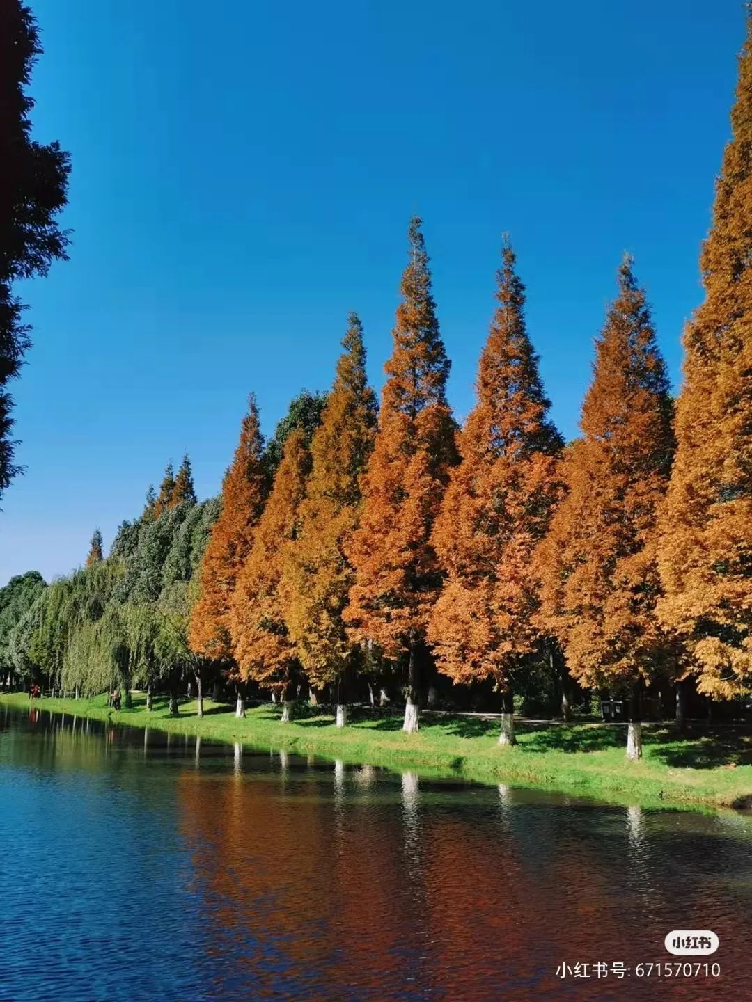 破案了！火爆全网的昆明版天空之境原来在这里