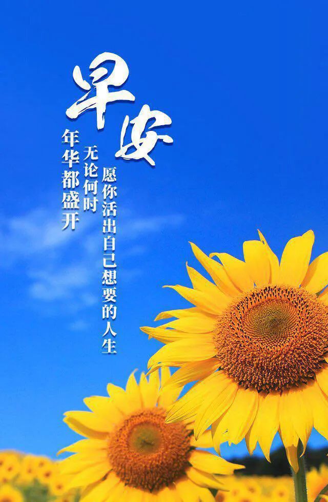 早安心语正能量语录简短句子图片,2020.12.9早安心语正能量走心语录