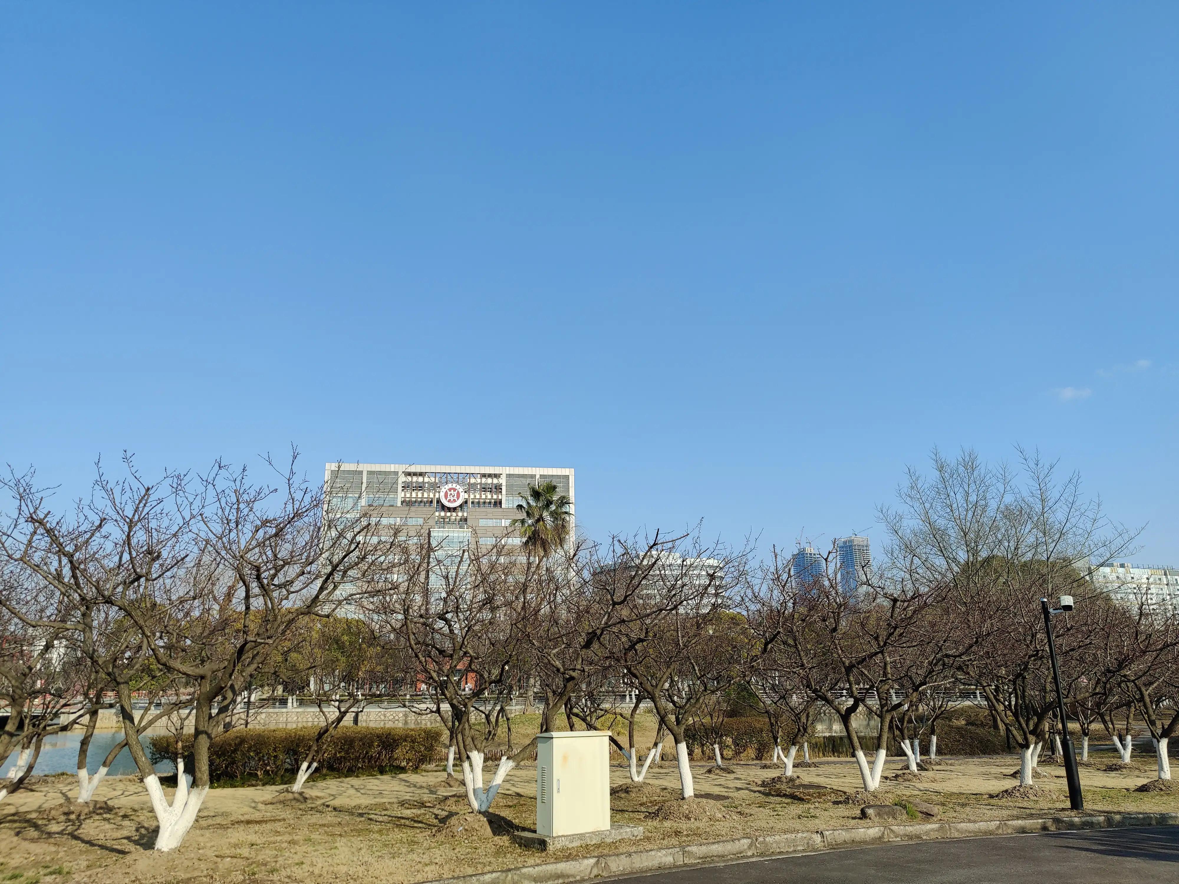 上海中医药大学游览,上海大学一日游价格