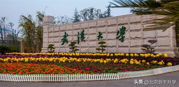 清华大学三个专业排名全球第一,清华大学世界第一专业