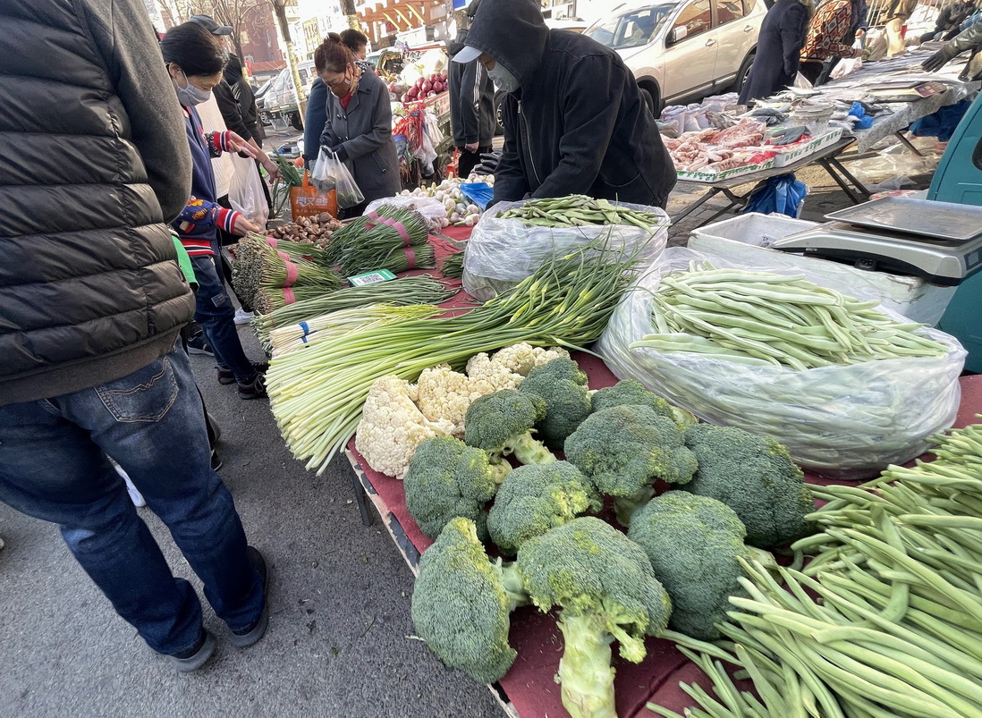 带大家看看东北早市物价多便宜,看东北早市物价冬天囤菜