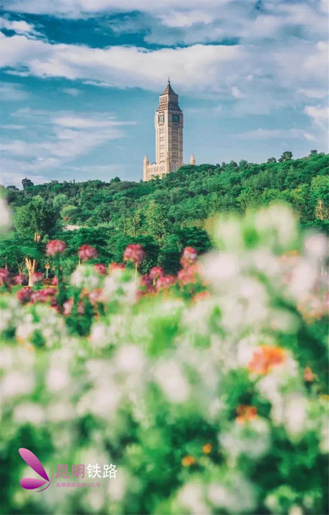 我要去红河,上车去