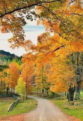 《大众民心诗集》云南诗人龙修德著七律以新韵为准,第四期