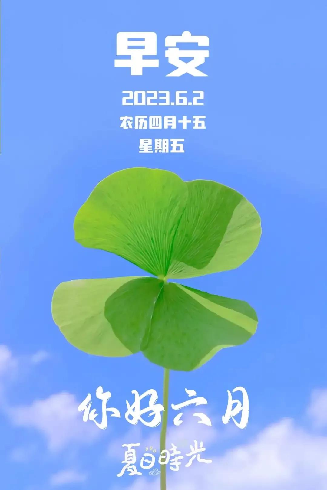 2023年06月02日星期五农历:癸卯年【兔年】四月十五第22周
