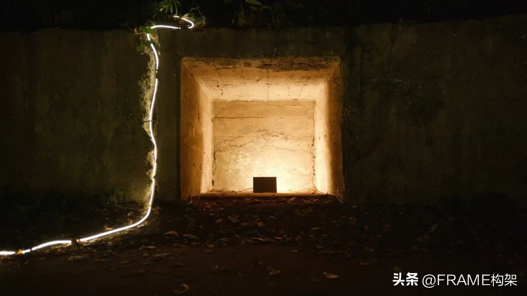 一周最受欢迎|Aesop多伦多体验店、哥伦比亚公寓、日本TreeSays