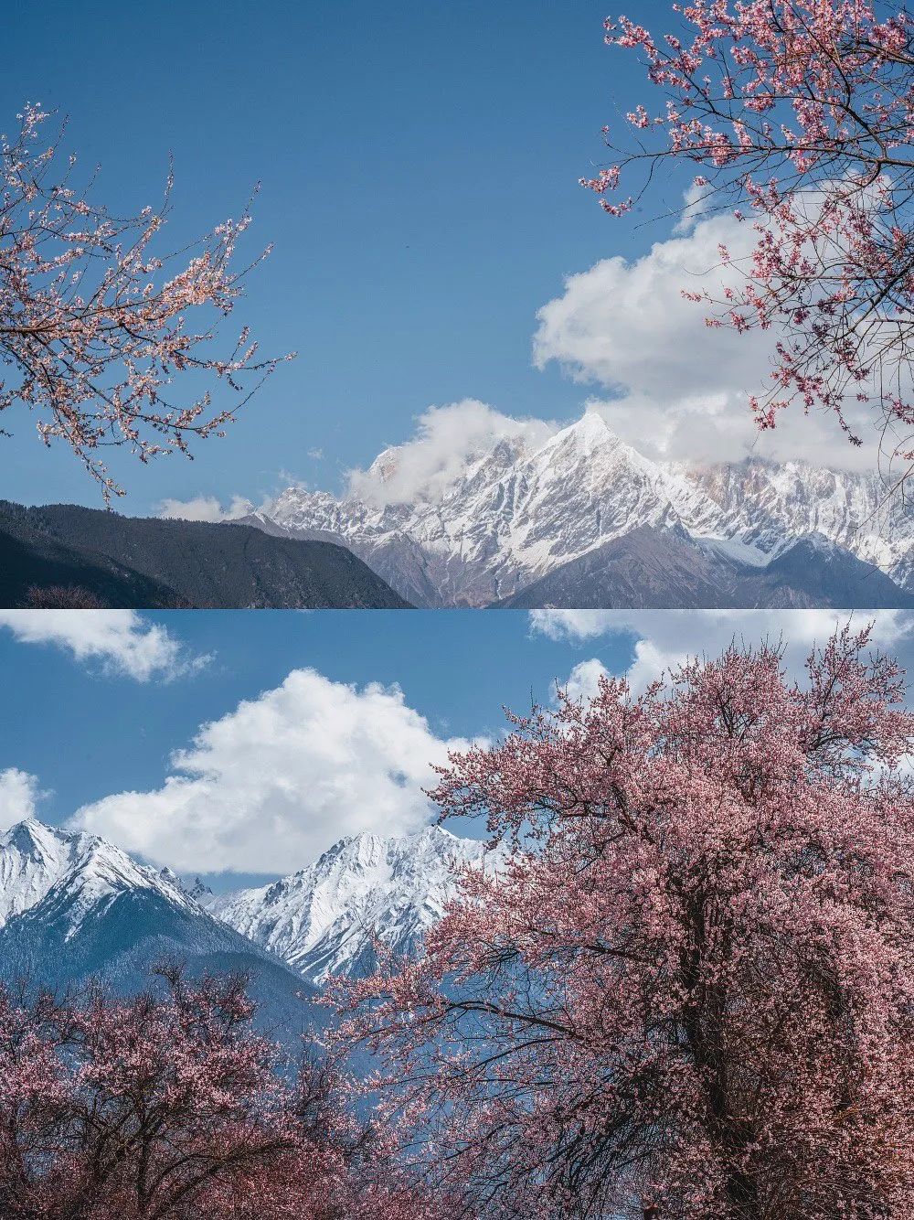 龙泉山看桃花徒步最佳路线,徒步穿越十里桃花漫山遍野