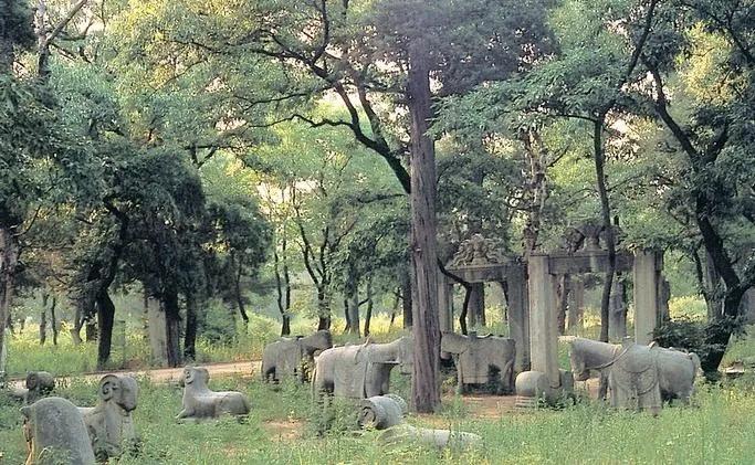 孔林——孔家后世荣华地