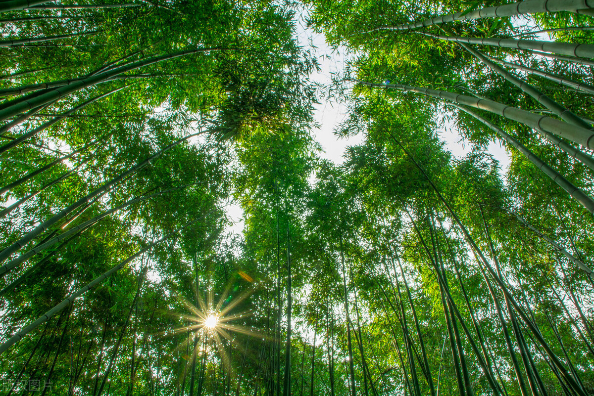 镇江旅游攻略最佳景点,镇江旅游景点推荐及攻略