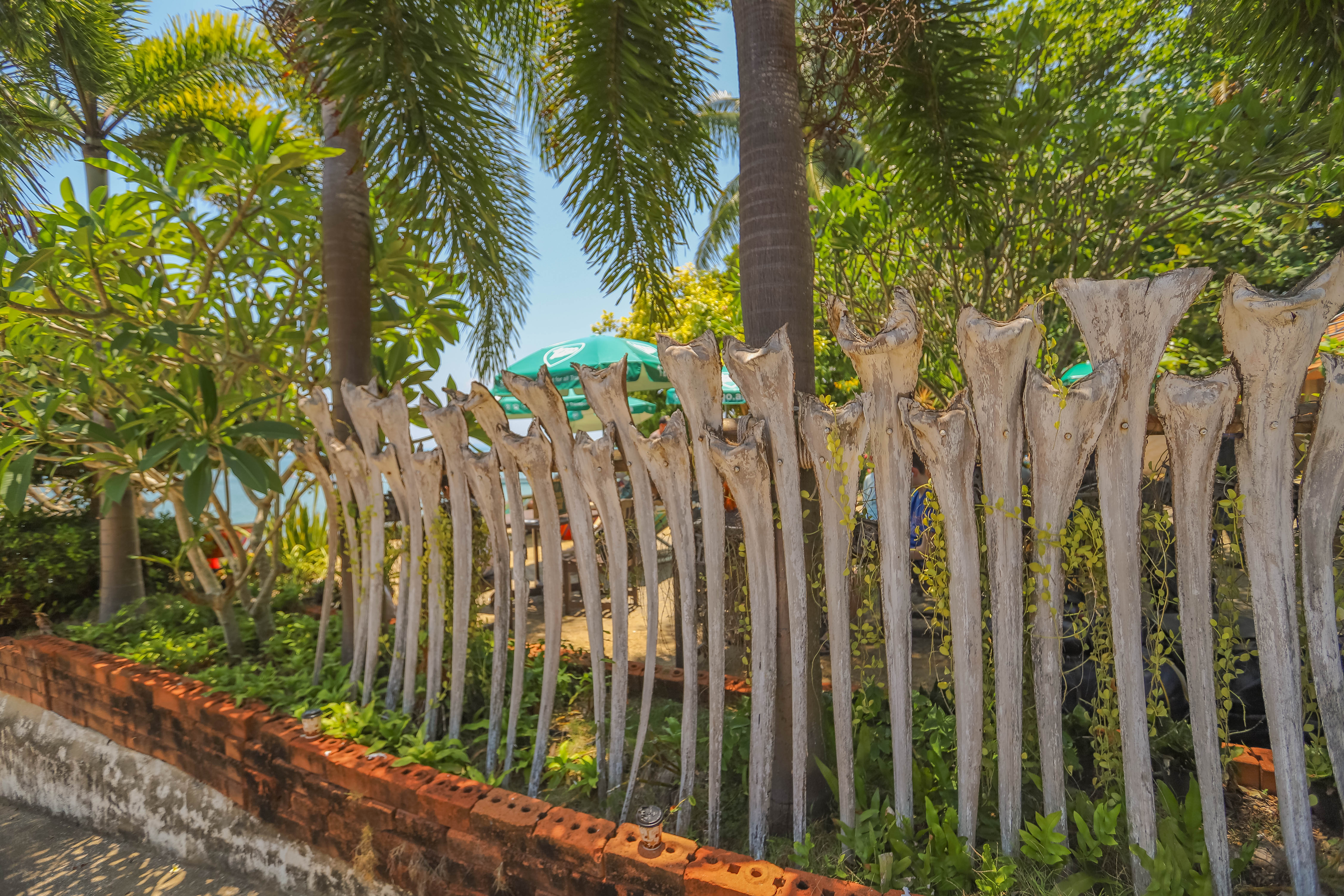 泰国涛岛潜水最佳时间,泰国涛岛旅游路线