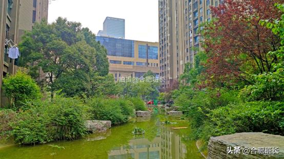 滨湖假日金榈园带院子,合肥滨湖蓝鼎假日金榈园房价